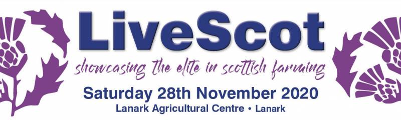 LiveScot Exhibition and Sale of Prime Cattle & Sheep