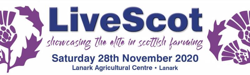 LiveScot Sale Times